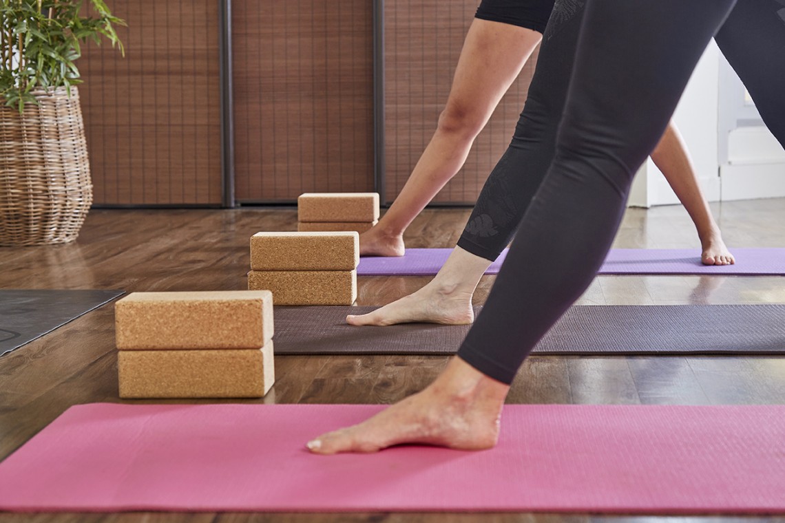 Hatha Yoga