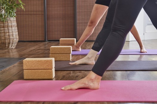 Hatha Yoga