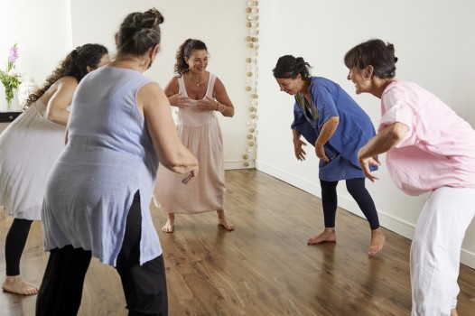 Ateliers de Shakti Dance®
